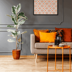 Dự án Tân Vinh Mỹ